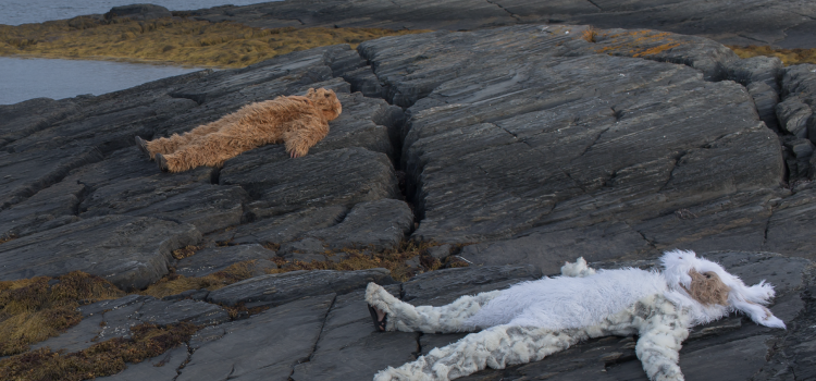 Further All the Time…